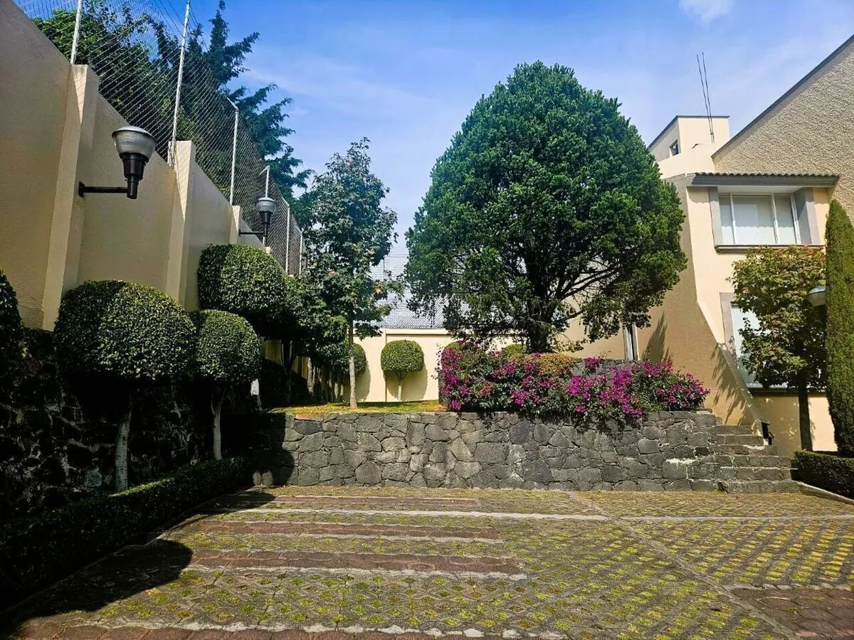 Foto 6