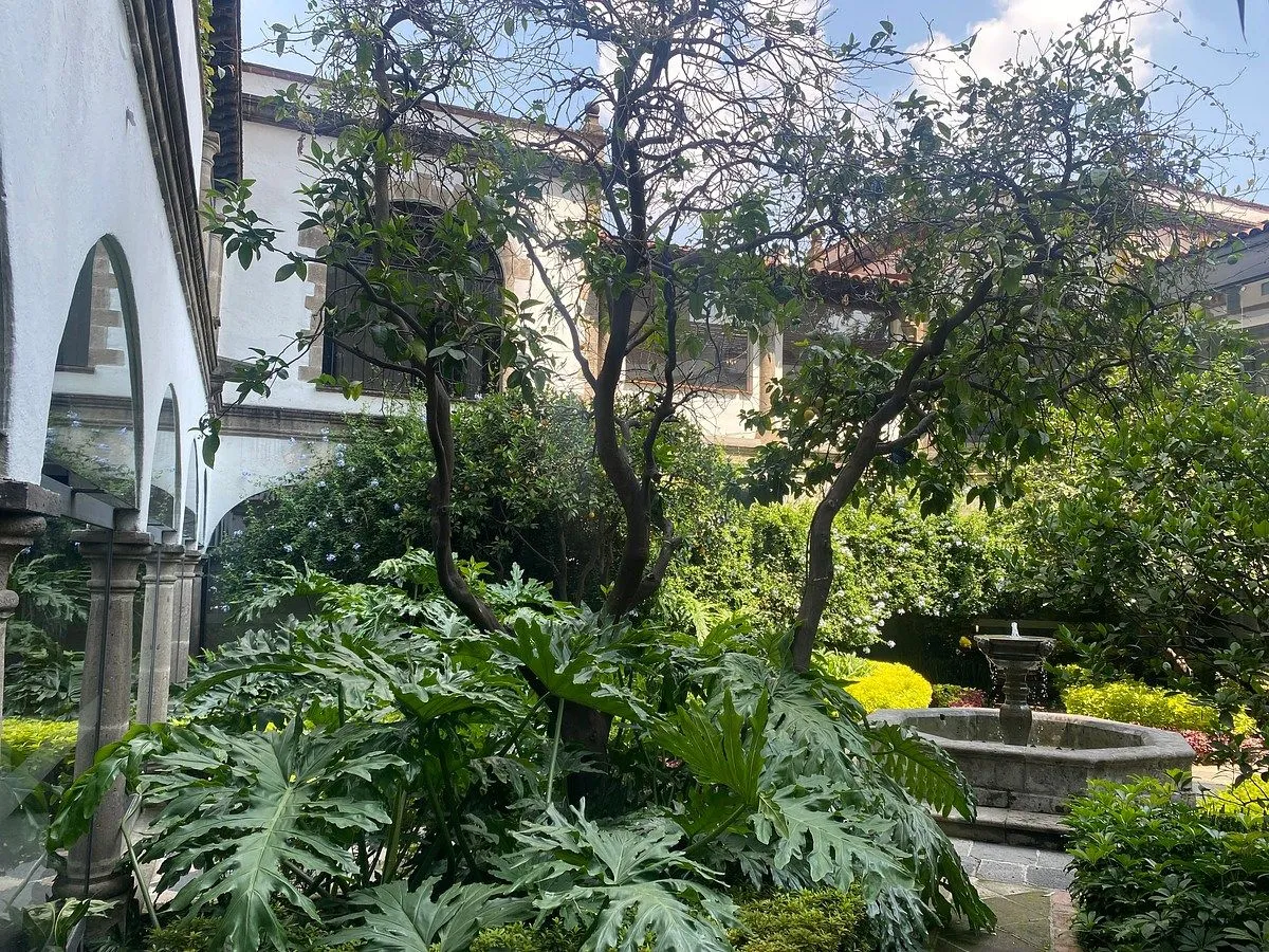 Foto 14