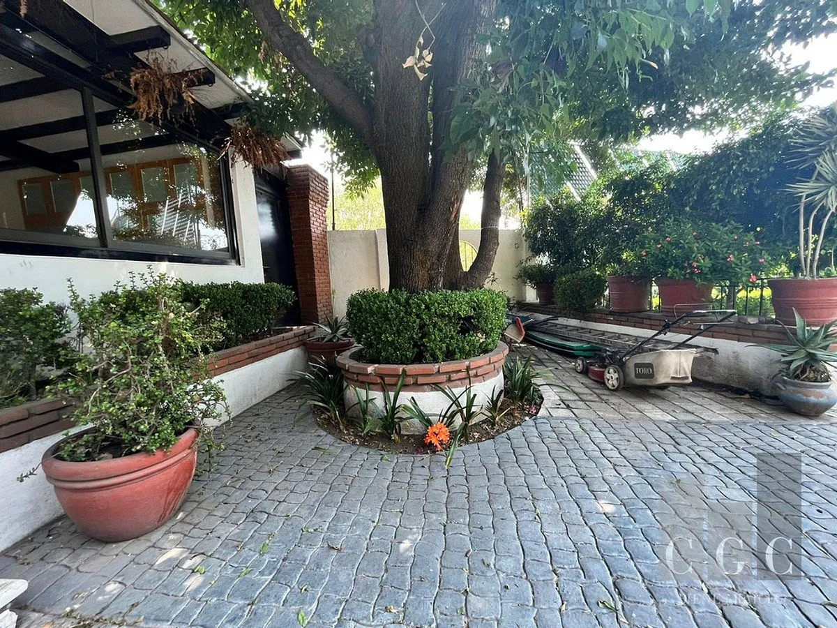 Foto 19