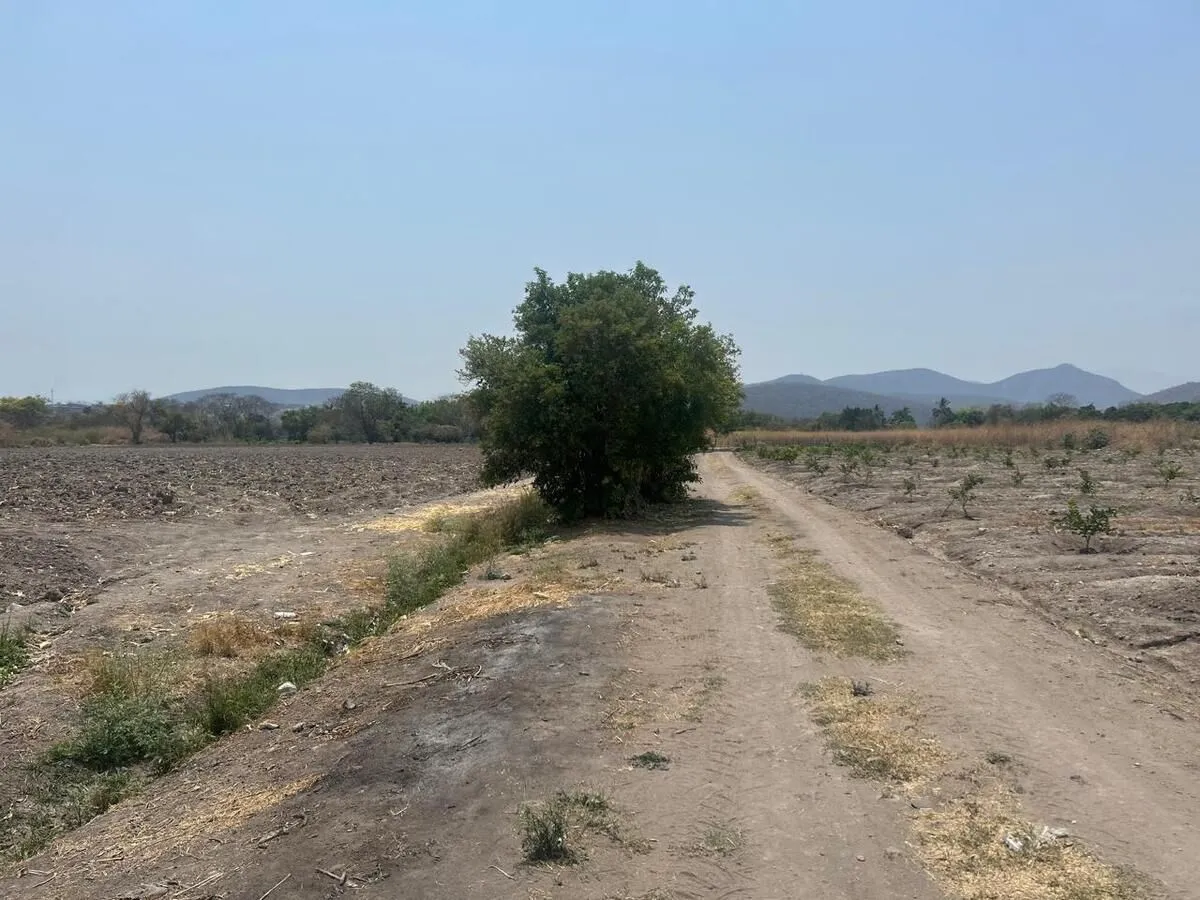 Lote en venta · Atlacholoaya, Xochitepec, Morelos