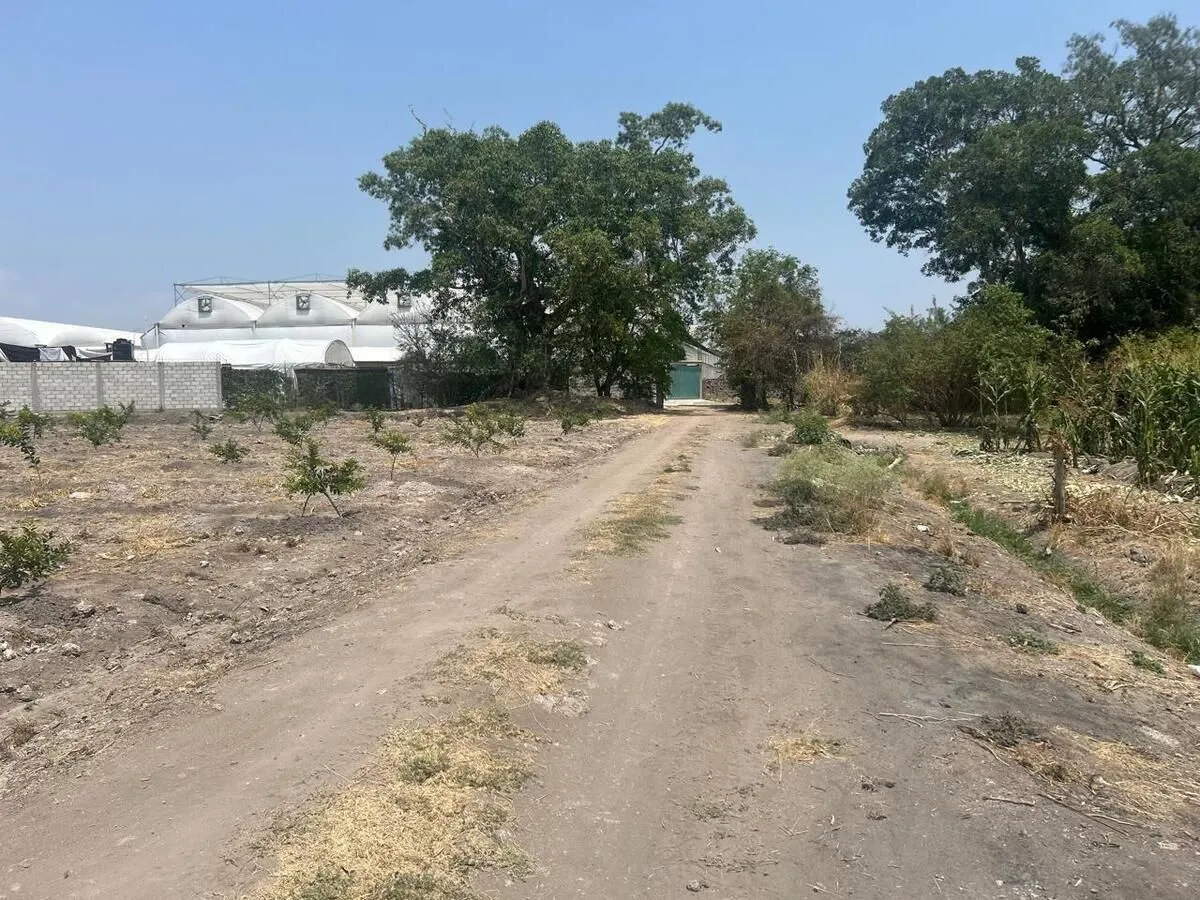 Foto 12