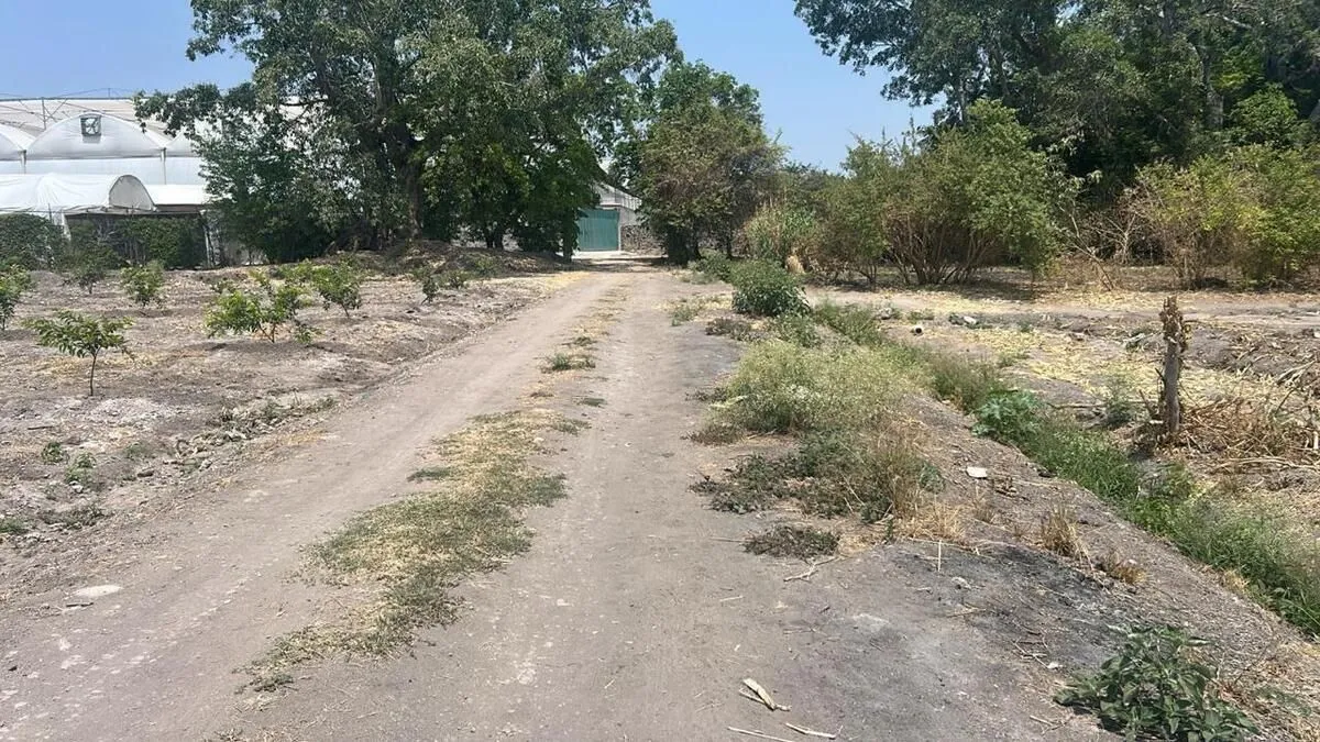 Foto 11