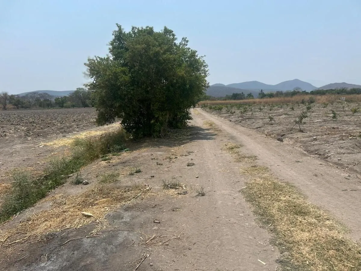 Foto 5