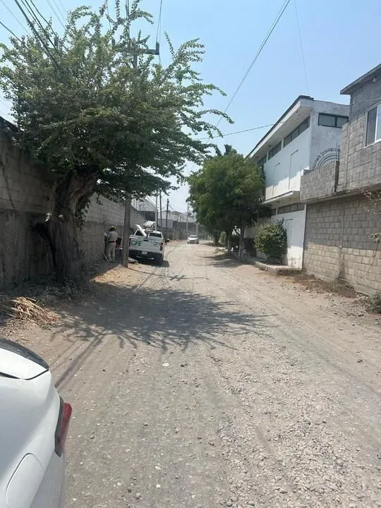 Foto 6