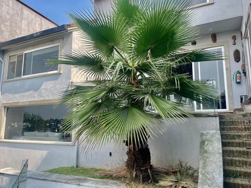 Casa en venta · Lomas de Chapultepec I Sección, Lomas de Chapultepec, Chapultepec, Miguel Hidalgo, Ciudad de México Casa en venta · Lomas de Chapultepec I Sección, Lomas de Chapultepec, Chapultepec, Miguel Hidalgo, Ciudad de México