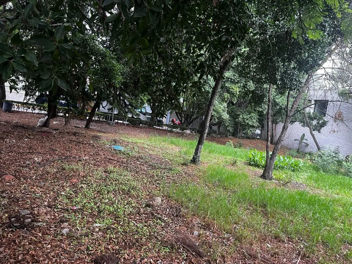 Foto 8