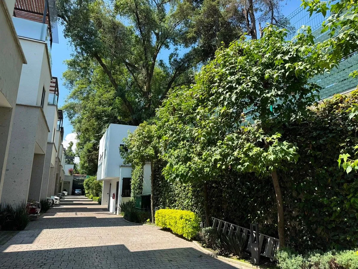 Foto 16