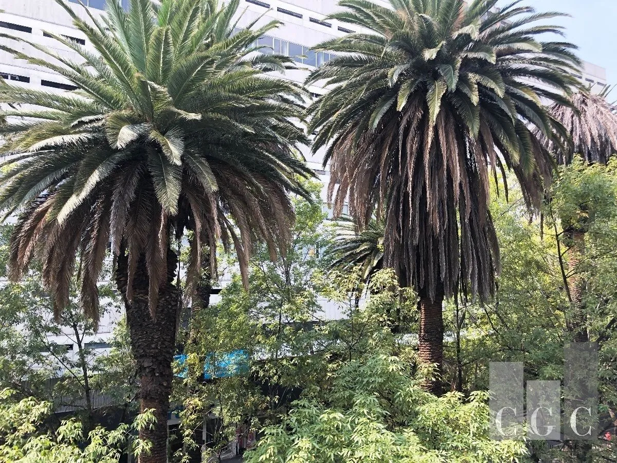 Foto 16