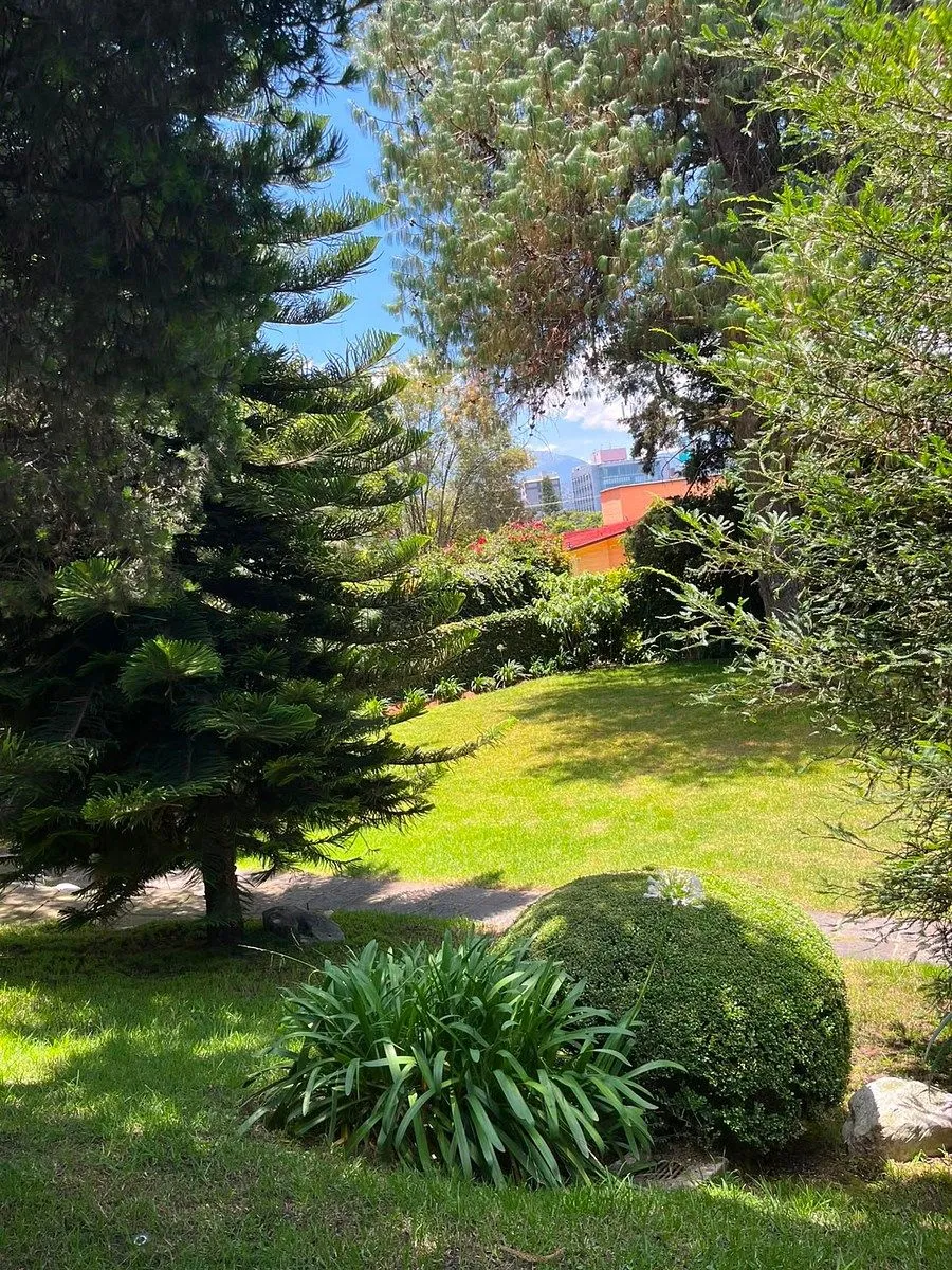 Foto 15