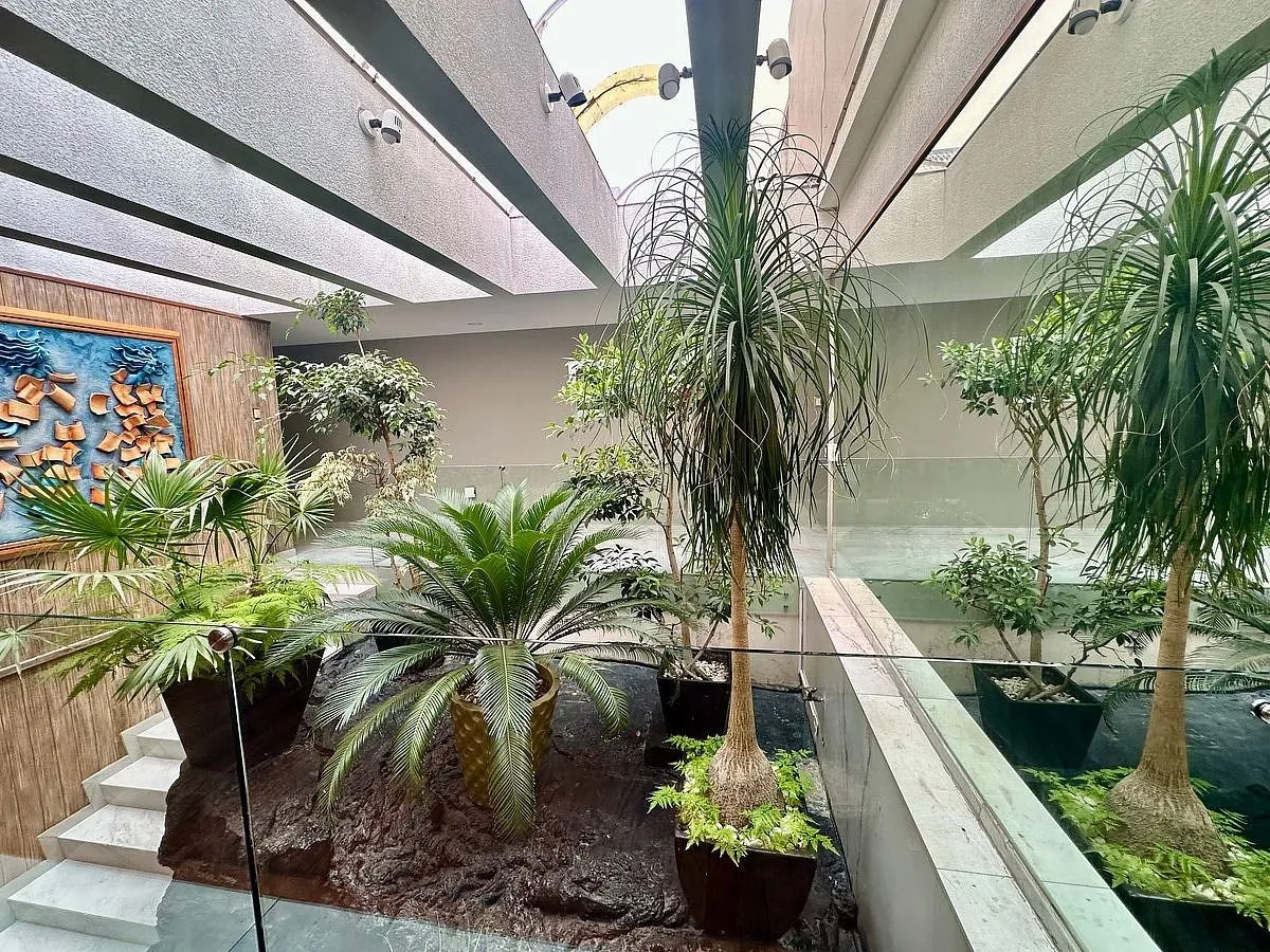 Foto 5