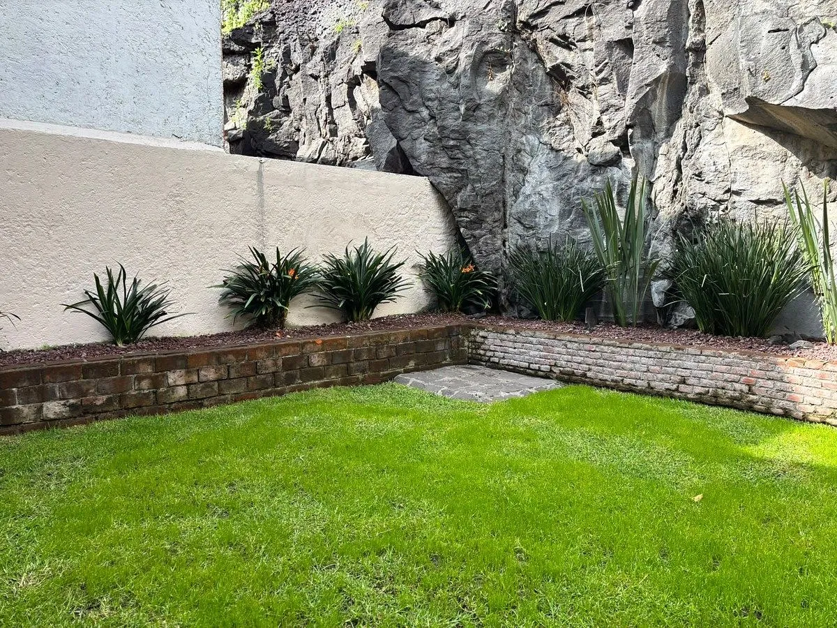 Casa en renta · Cuadrante de San Francisco, Coyoacán, Ciudad de México