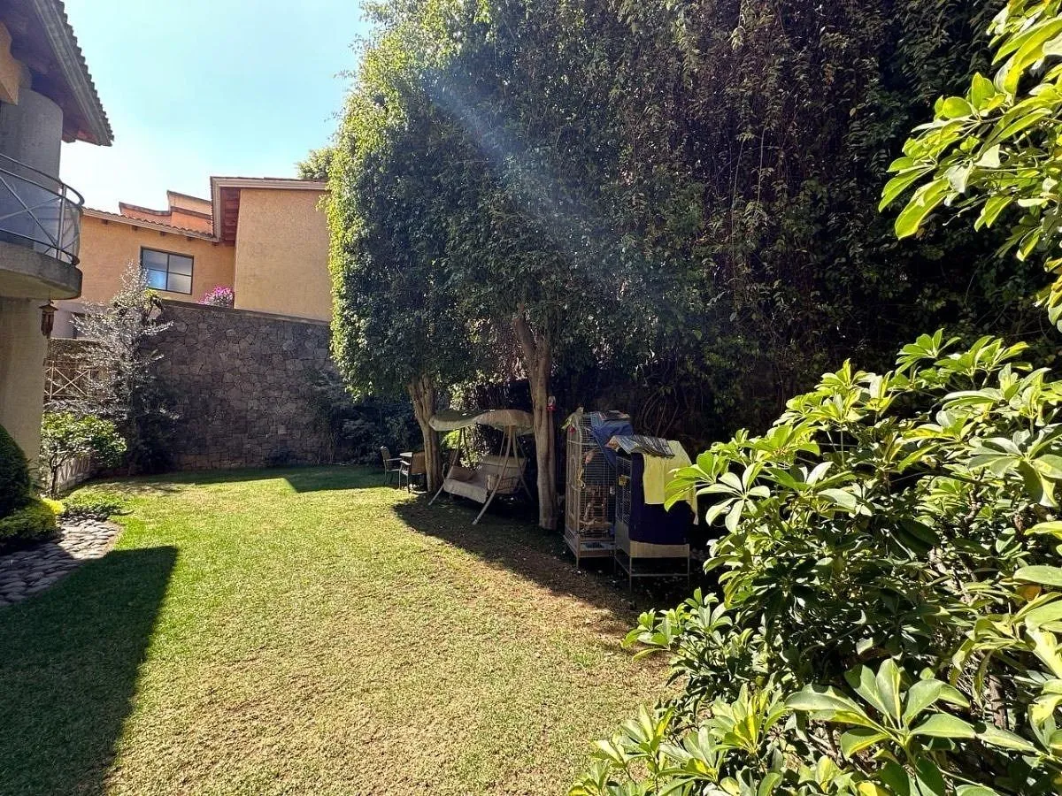 Foto 15