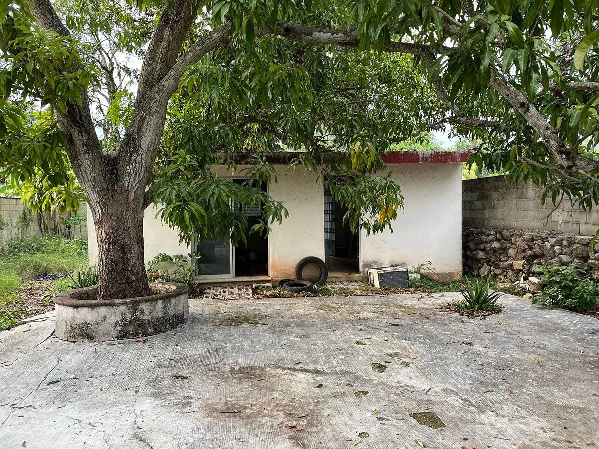 Foto 13