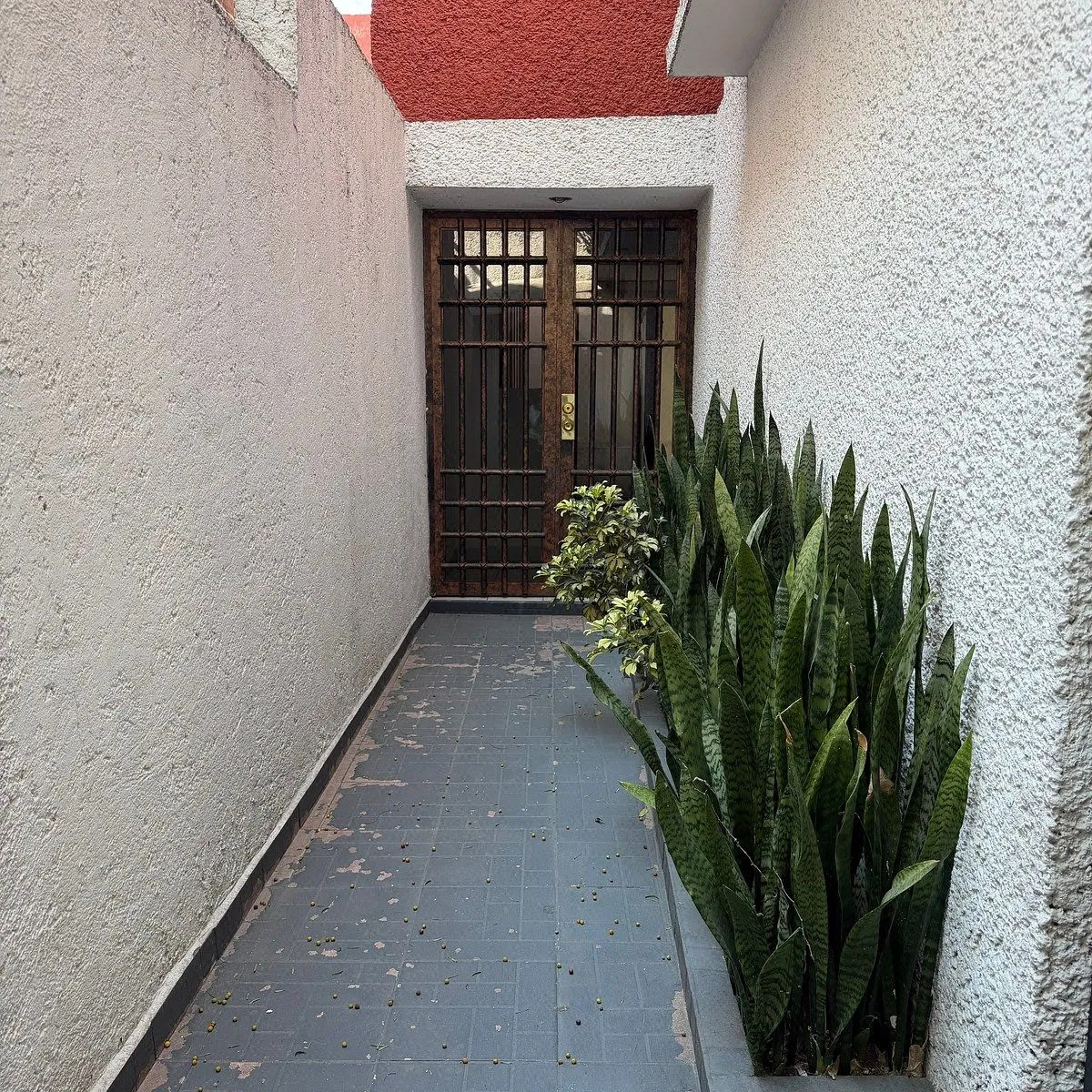 Casa en renta · Santa Cruz Acatlán, Naucalpan de Juárez, Estado de México