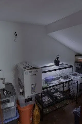 Foto 25