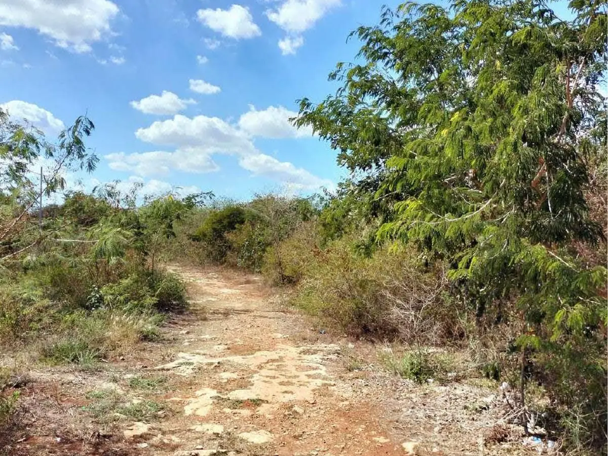 Foto 11