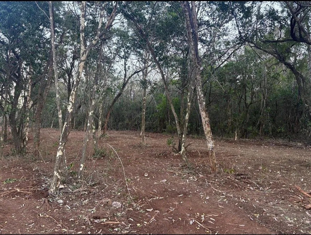 Foto 8