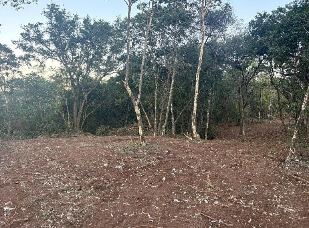 Foto 6