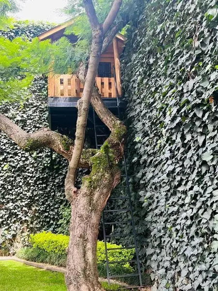 Foto 13