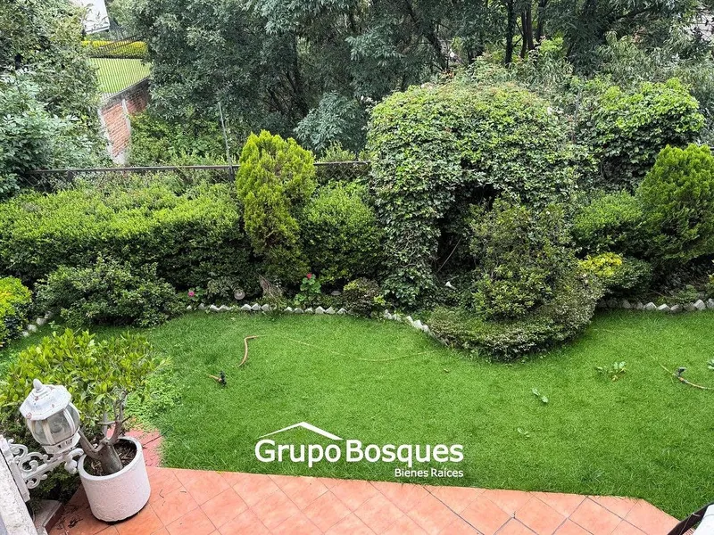 Foto 19