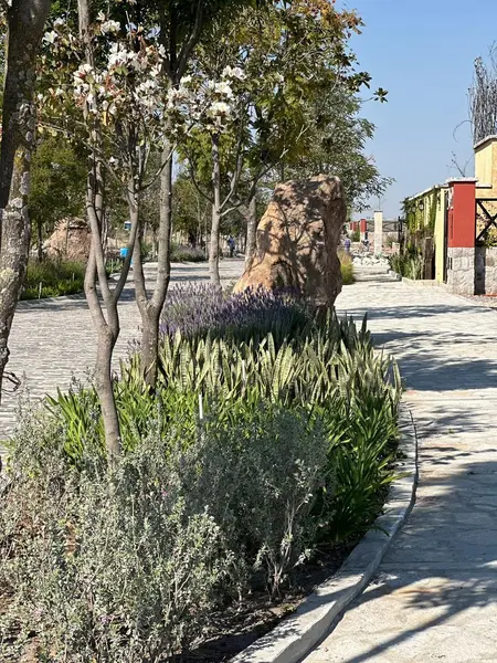 Foto 16