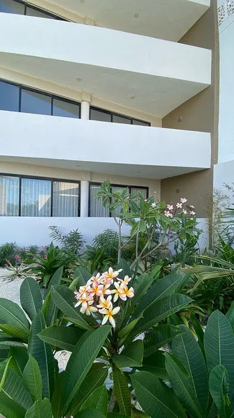 Foto 31