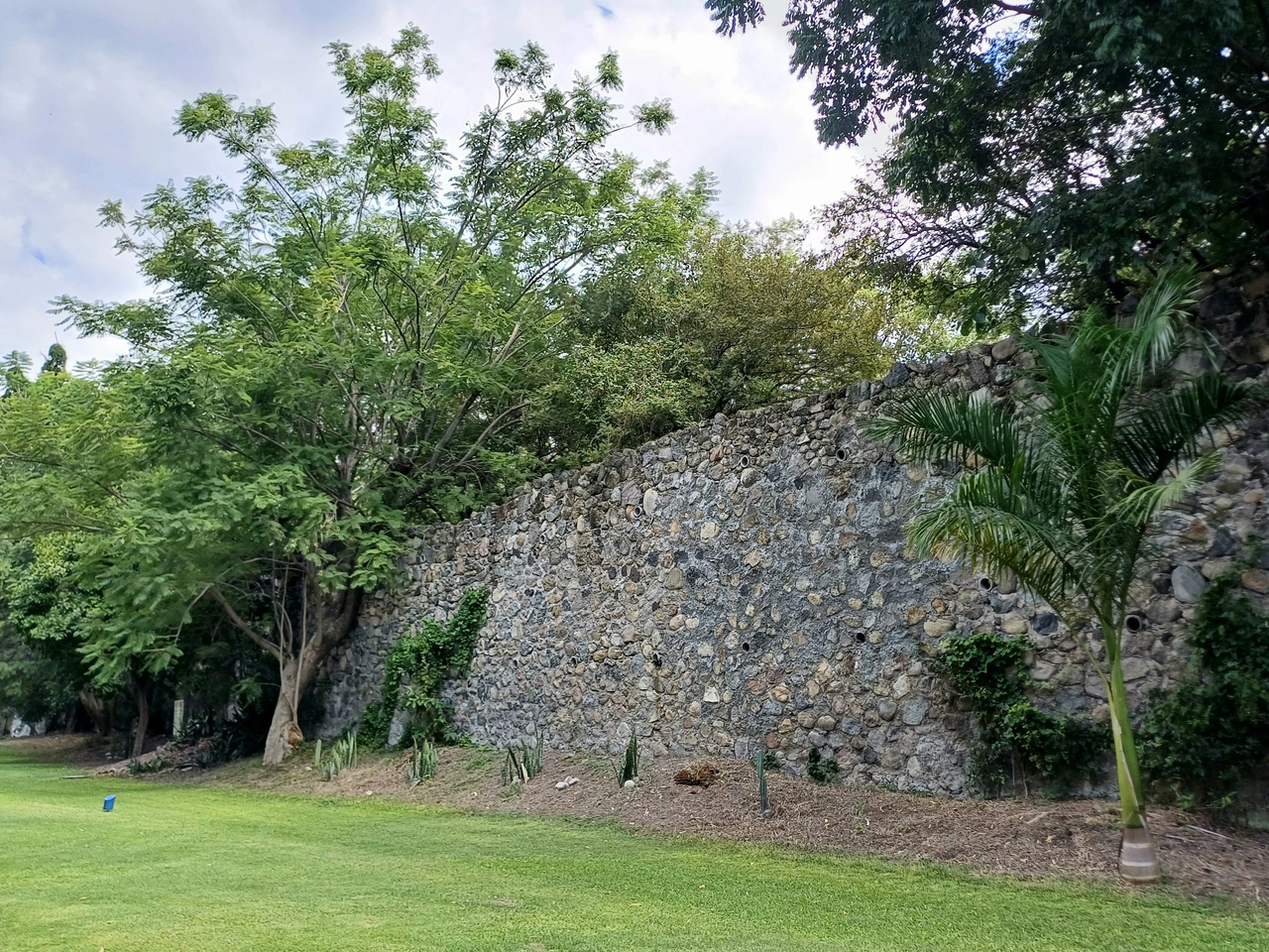 Lote en venta · Xochitepec
