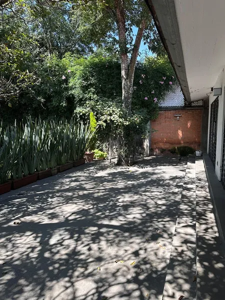 Foto 7
