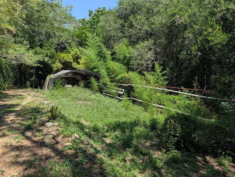 Foto 45