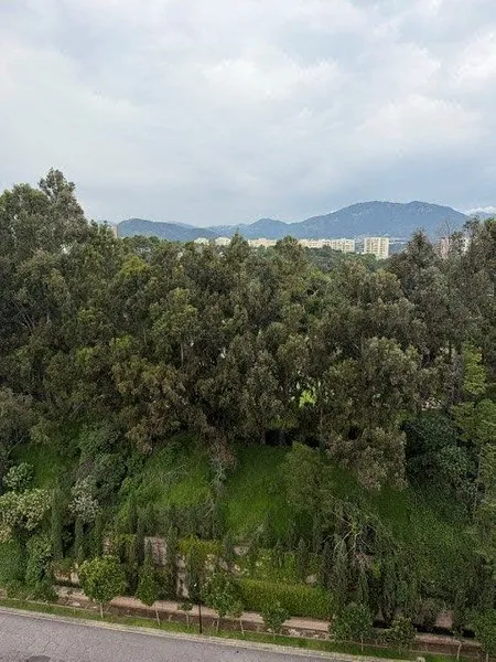 Foto 9