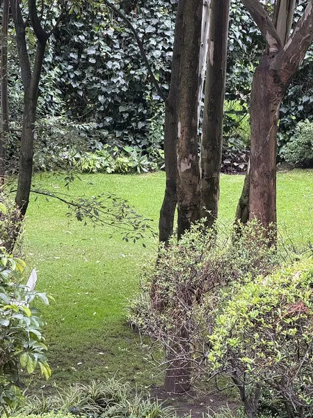 Foto 18