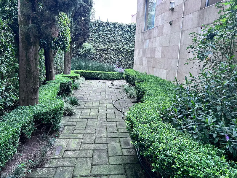 Foto 19