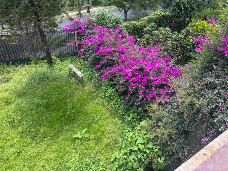 Foto 11