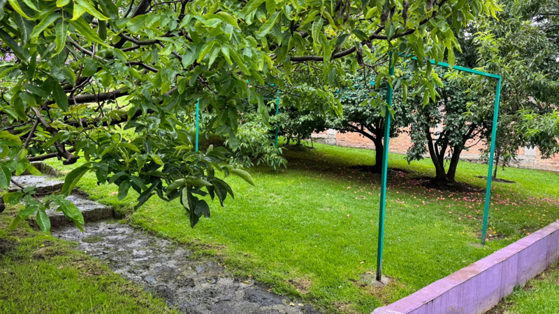 Foto 16