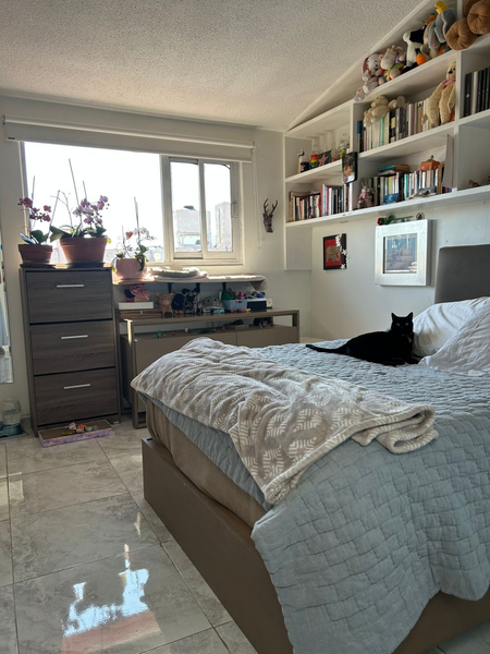 Foto 15