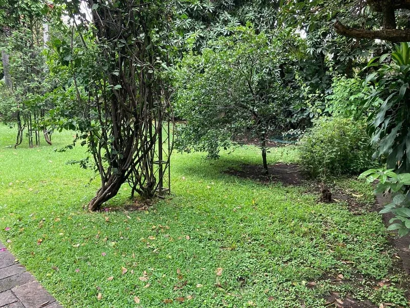 Foto 11