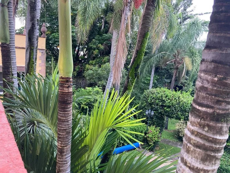 Foto 10