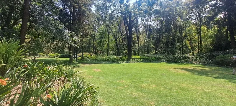 Foto 18