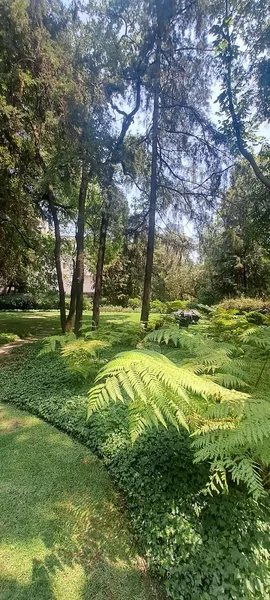 Foto 19