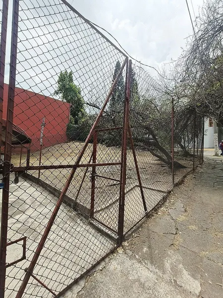 Foto 7