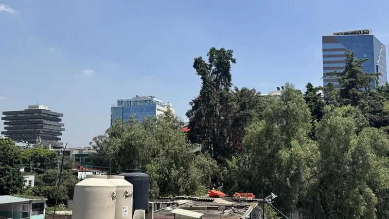 Foto 10