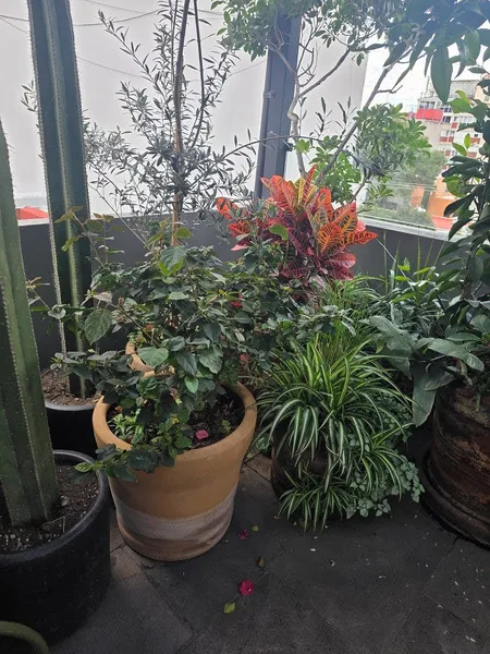 Foto 16