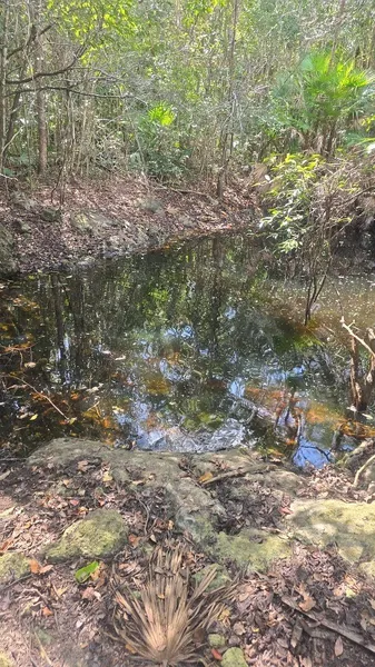 Lote en venta · Bahías de Punta Solimán, Tulum, Quintana Roo