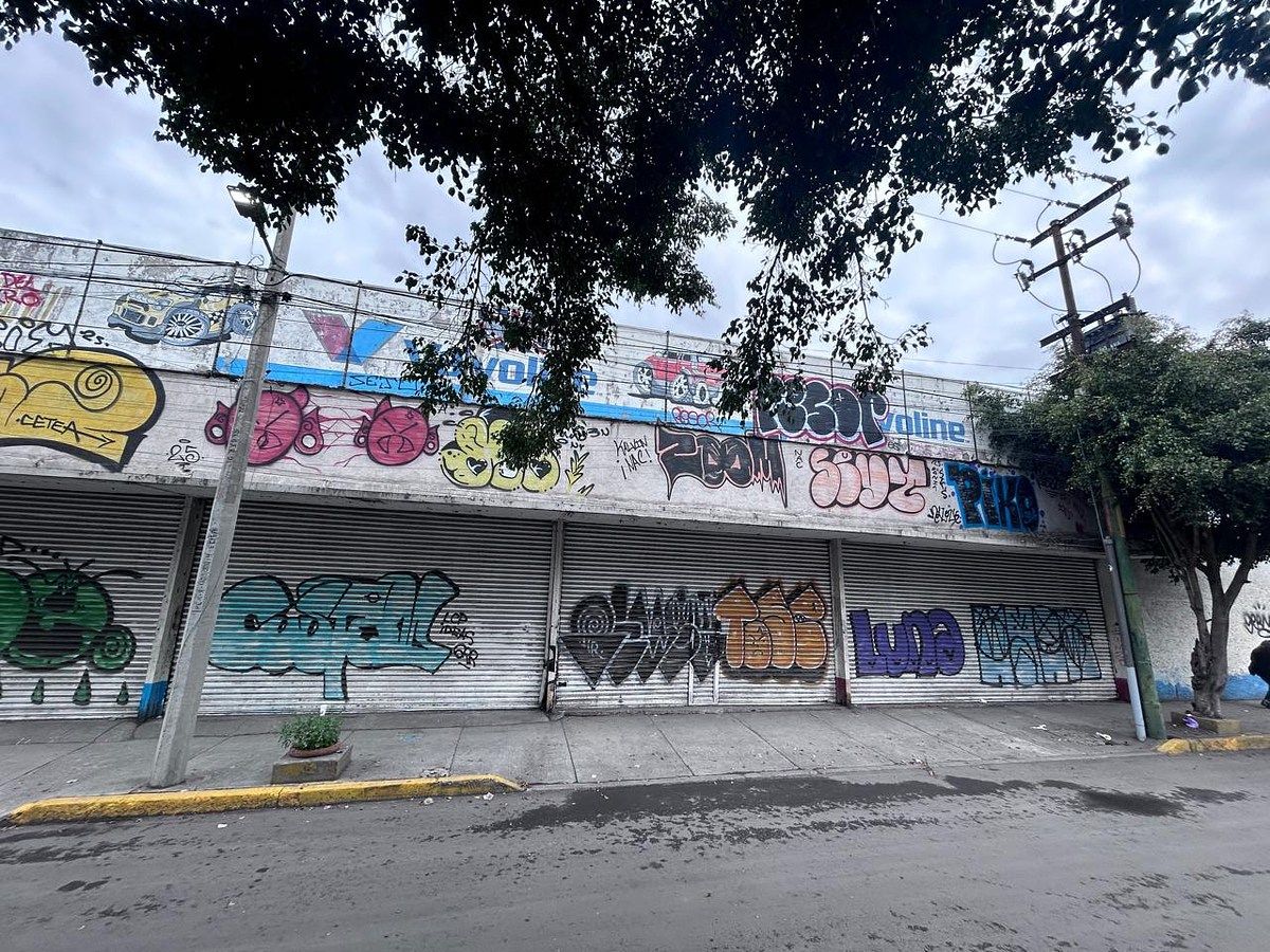 Foto 5