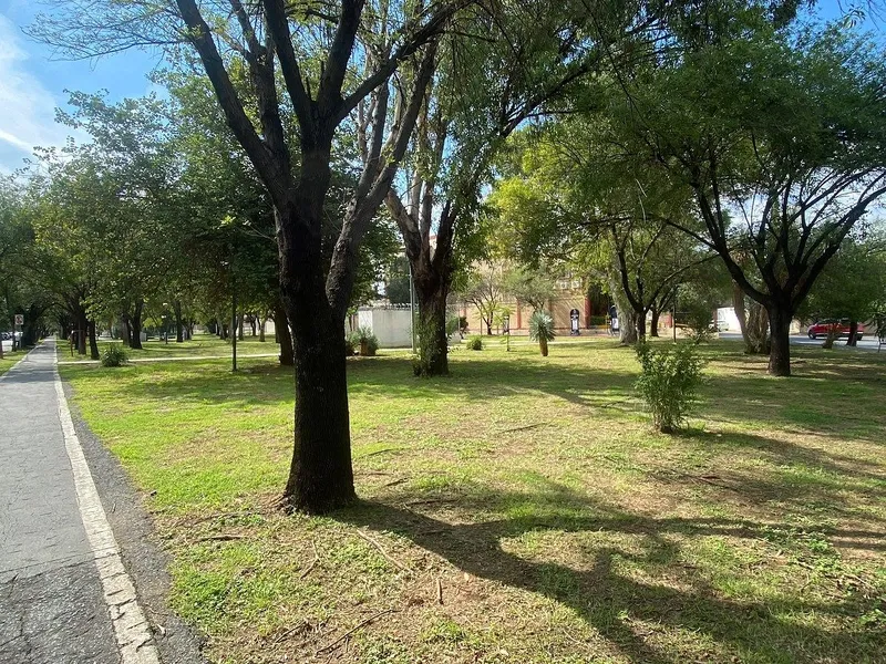 Foto 8