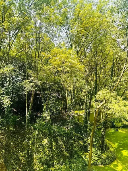 Foto 12