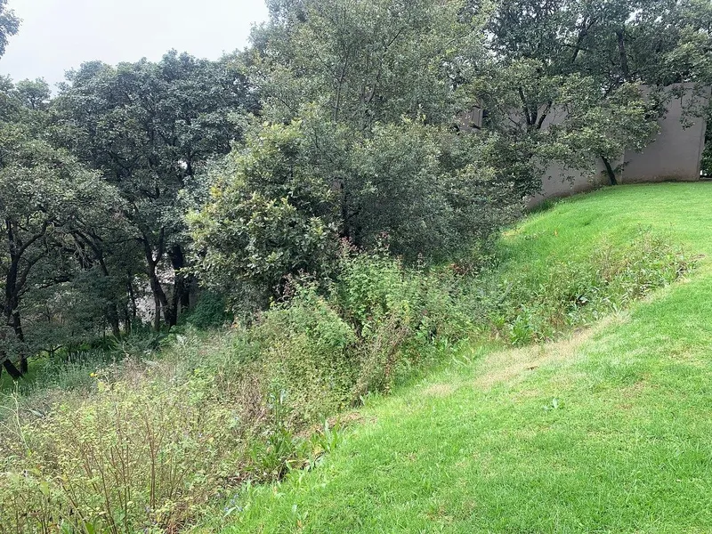 Foto 5