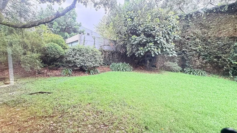 Foto 48