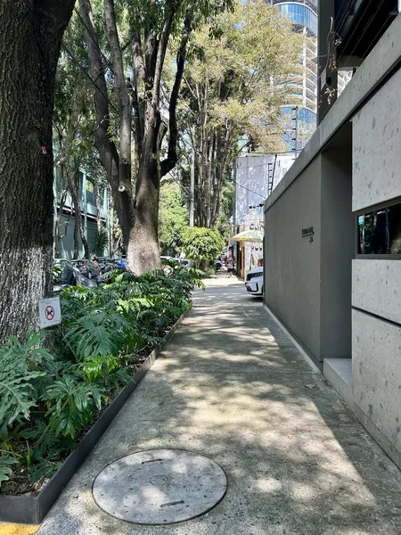 Foto 46