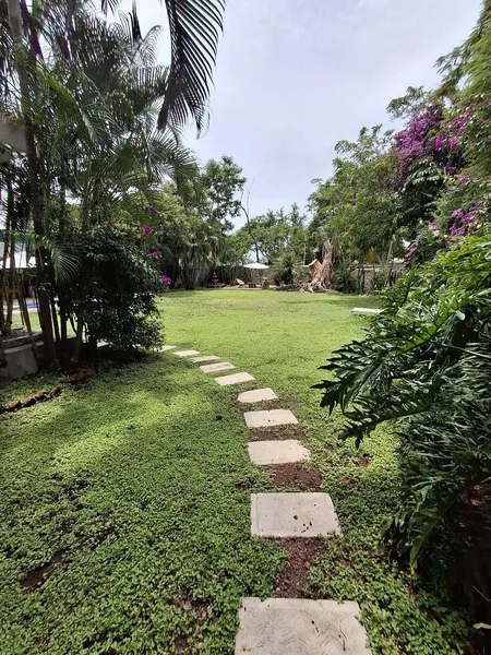 Foto 16